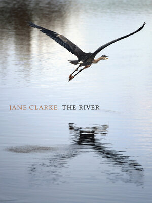 cover image of The River
